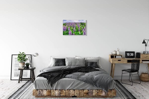 CAN006 Lupine Field 20x30 Framed White Rum 1200