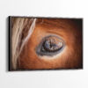 The Eye of the Horse Canvas Print