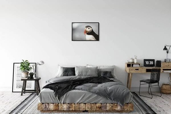 CAN023 Puffin Close up 20x30 Framed Black Rum 1200